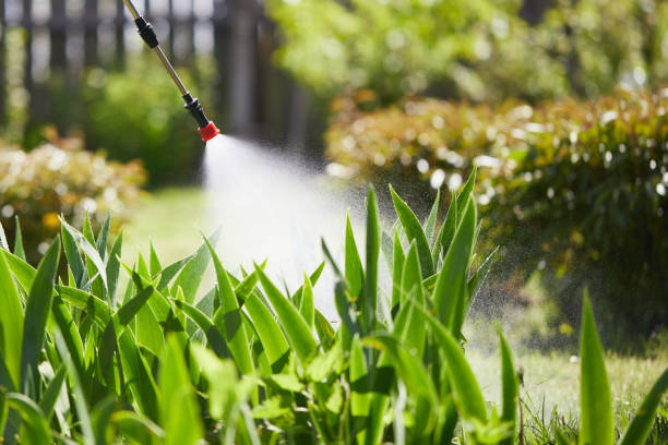 24/7 Emergency Pest Control experts in Clark, SD