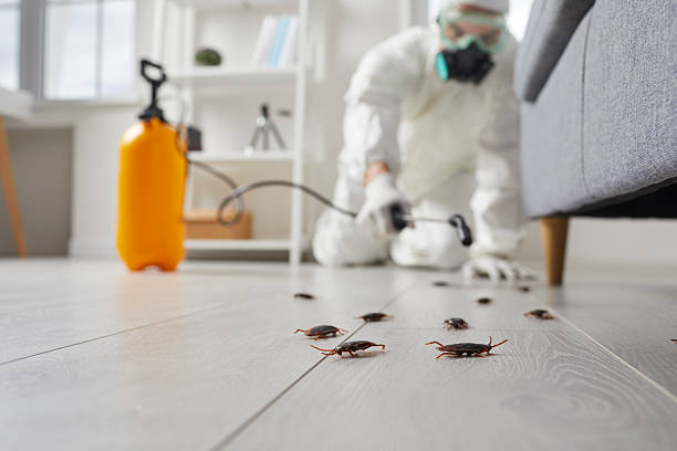 Affordable Pest Control solutions in Clark, SD